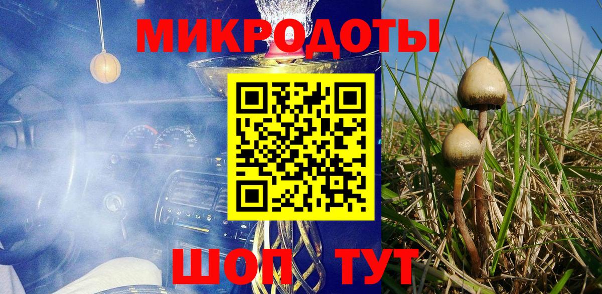 Псилоцибиновые грибы Magic Shrooms  Вход с VPN  Химки 